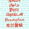 Brampton advocacy poster