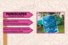 Parkscapes: Sun Printmaking Workshops